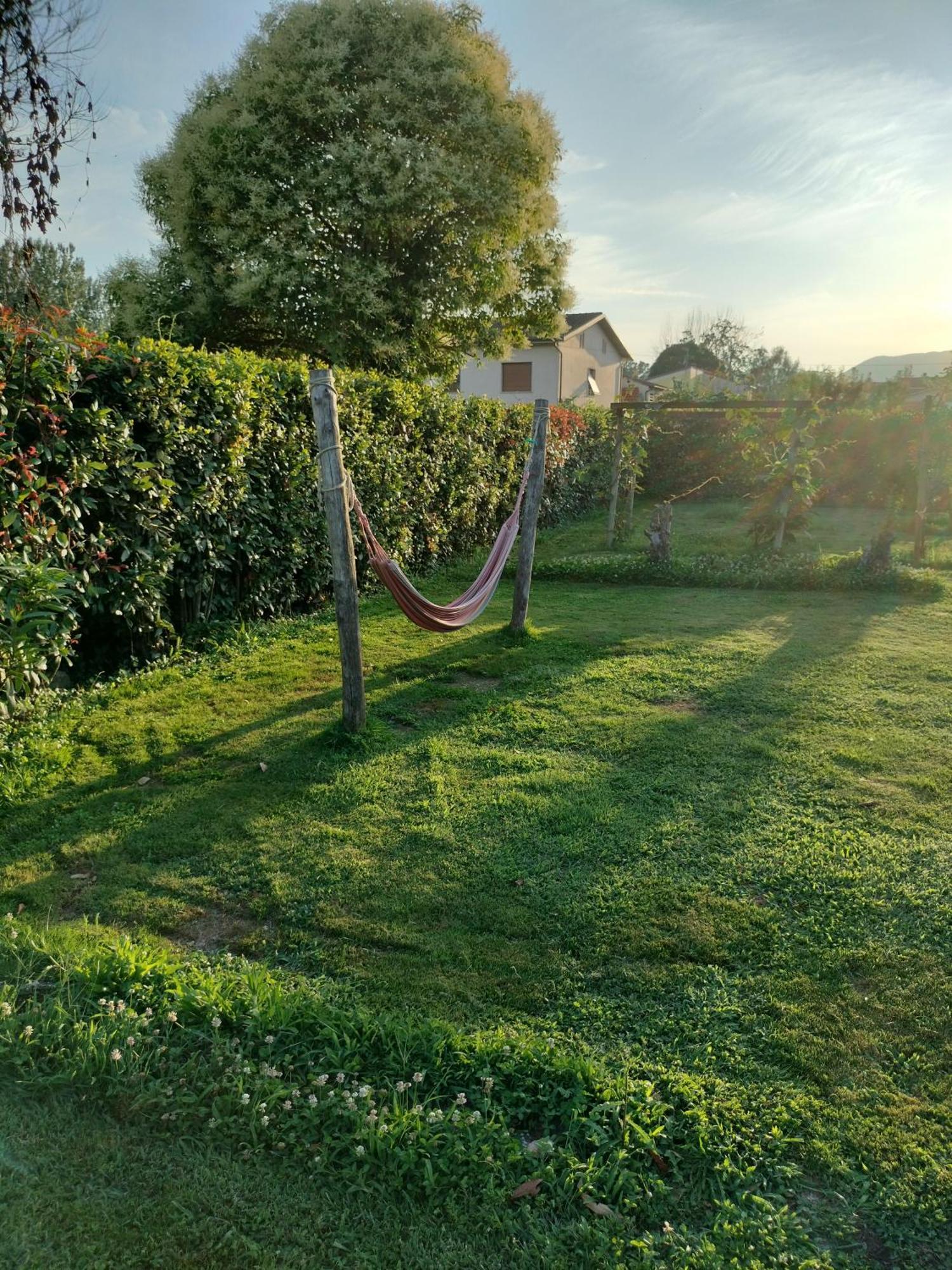 B&B La Rosa Nel Verde Lucca Bagian luar foto