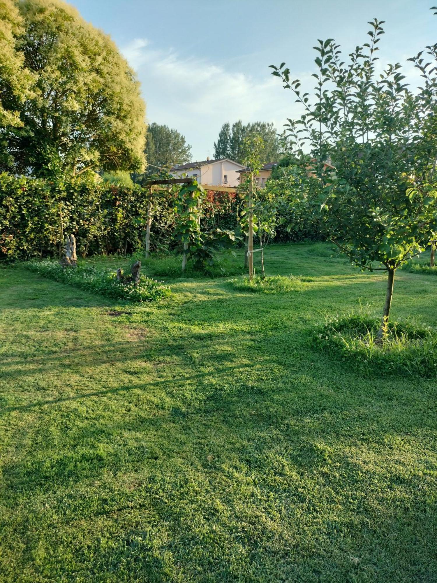 B&B La Rosa Nel Verde Lucca Bagian luar foto