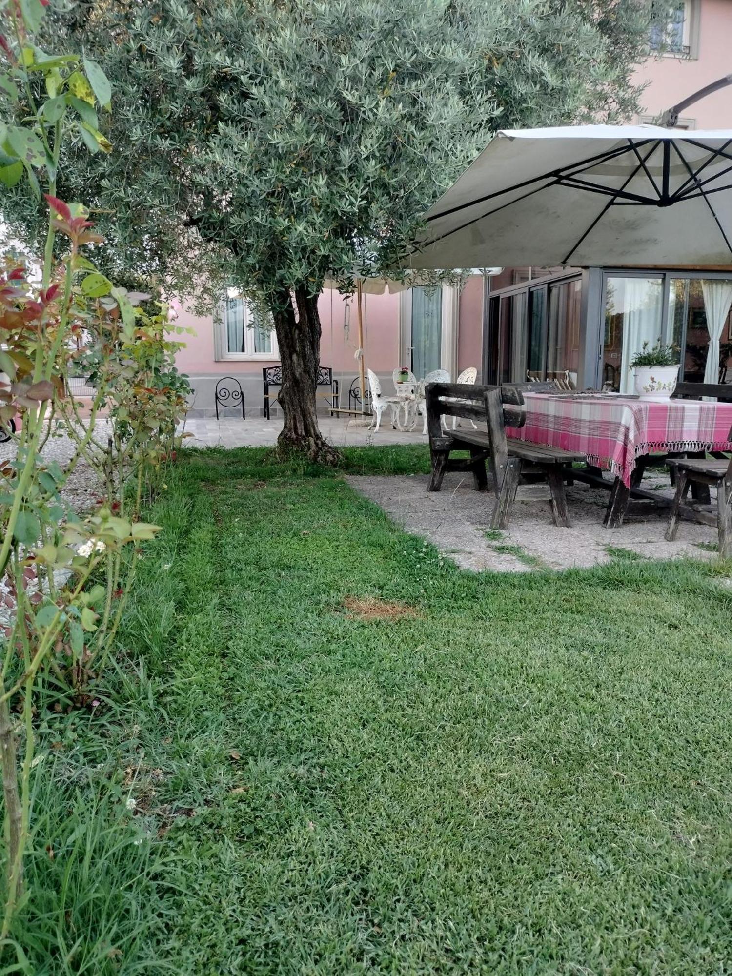 B&B La Rosa Nel Verde Lucca Bagian luar foto